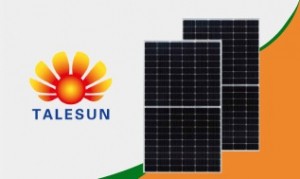 Why-Ausgreen-Solar-Most-Trusted-in-NSW