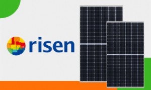 Why-Ausgreen-Solar-Most-Trusted-in-NSW-risen-solar